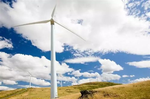 有好奇心，才会有新世界——谈风力发电技术服务中的教育启示